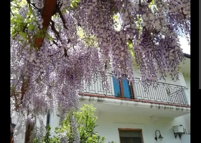 Appartamento Domus Pacis